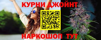 сатива Можга