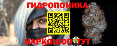 сатива Можга