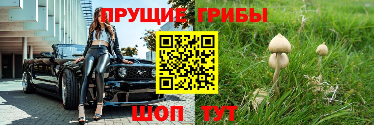 Галлюциногенные грибы Psilocybe  Вход с VPN  Советск 
